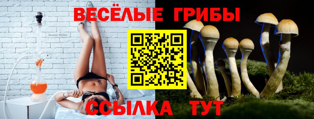 Щёкино  Псилоцибиновые грибы GOLDEN TEACHER  Галлюциногенные грибы мицелий  Вход с VPN 