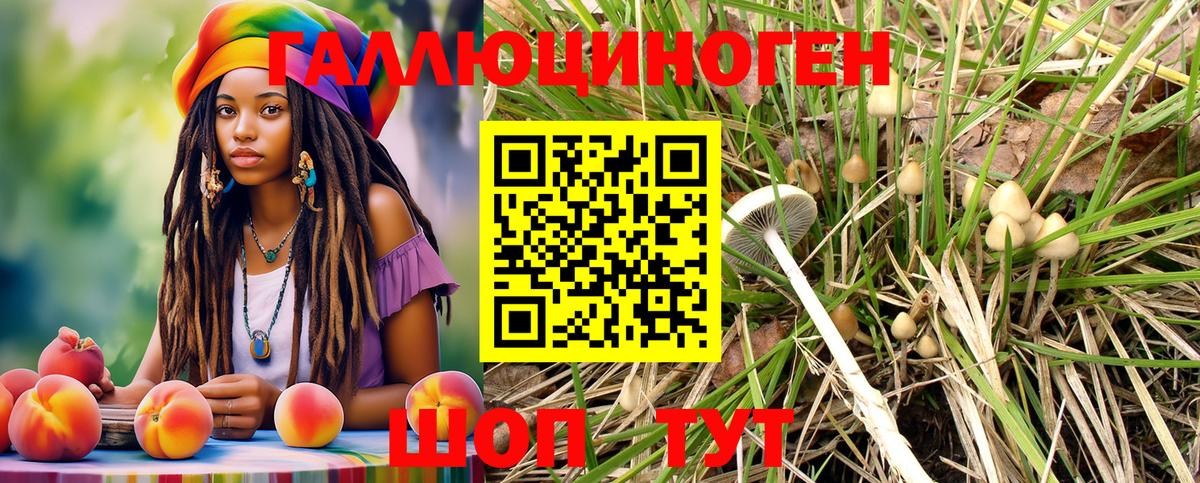 Галлюциногенные грибы MAGIC MUSHROOMS Щёкино